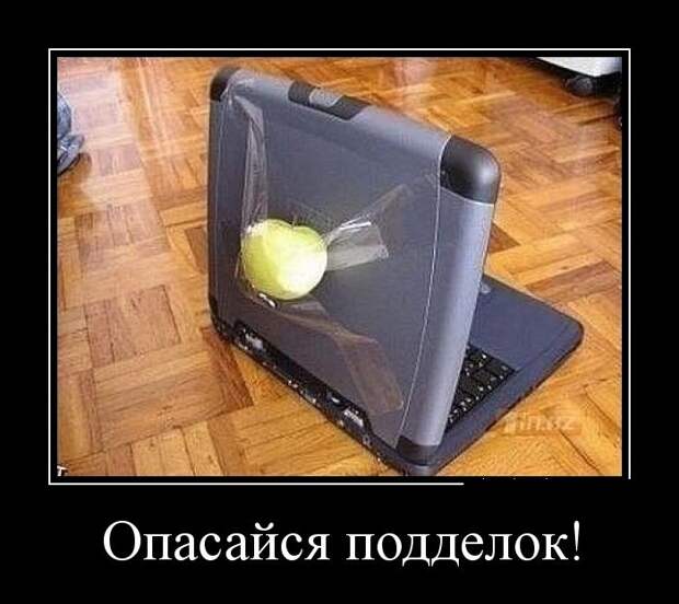 Демотиваторы  демотиваторы, прикол, смех, юмор