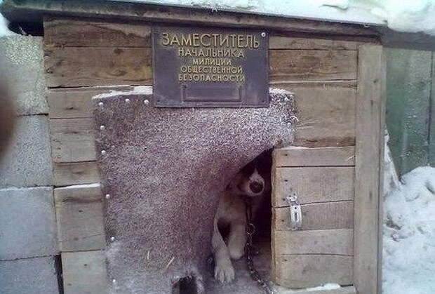 Смешные объявления, вывески, рекламки, ценники. часть 69 (27 фото)