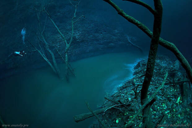 Дайвер обнаружил удивительное явление — подводную реку