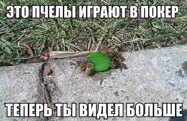 Теперь ты видел все