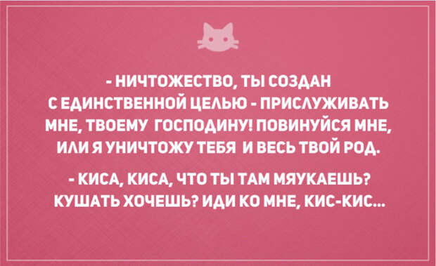 открытки о том, что без кота и жизнь не та (19)