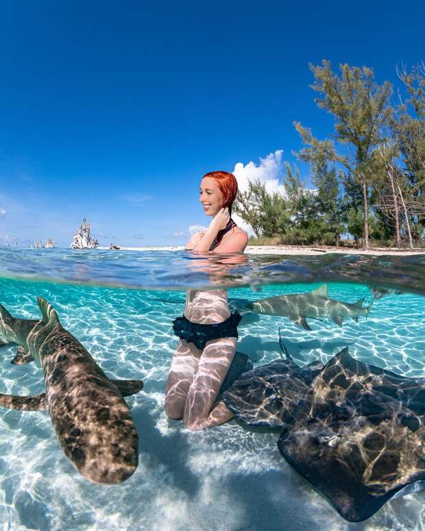 Андре Масгроув (André Musgrove) и его невероятные подводные снимки