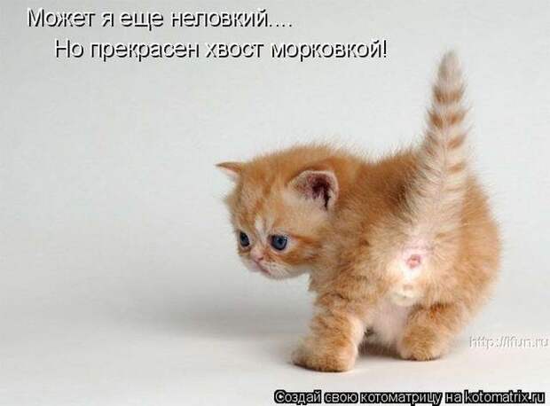 Мысли вслух :)