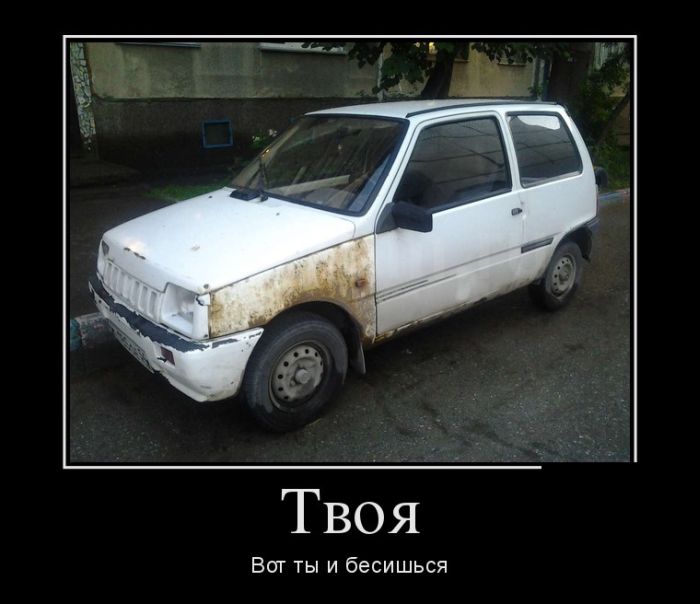 Демотиваторы (30 фото)