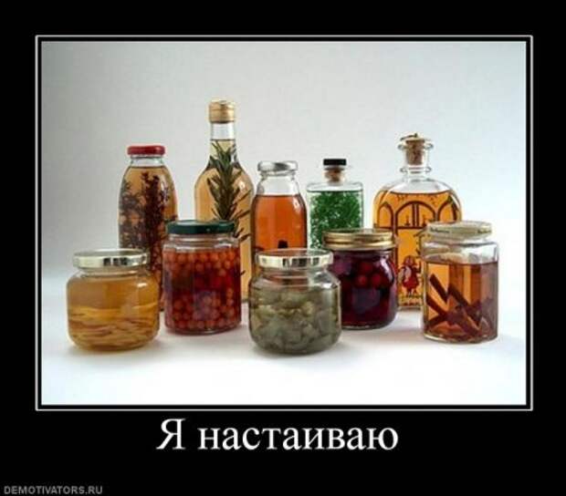 Новые демотиваторы, супер картинки и прикольные надписи.
