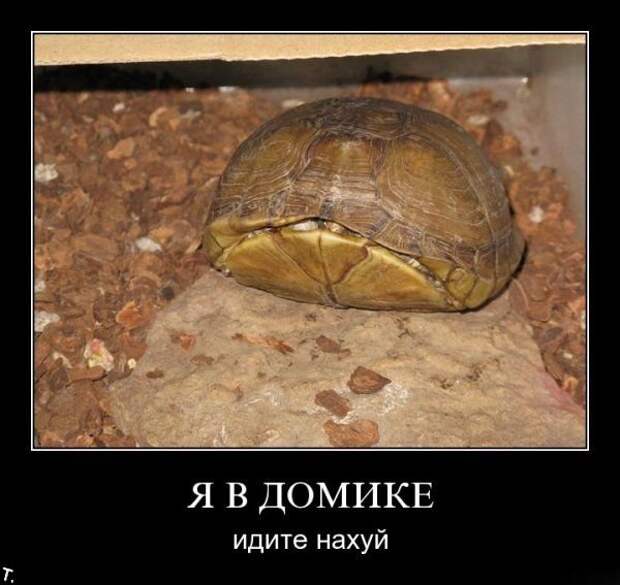 Подборка демотиваторов (84 фото)