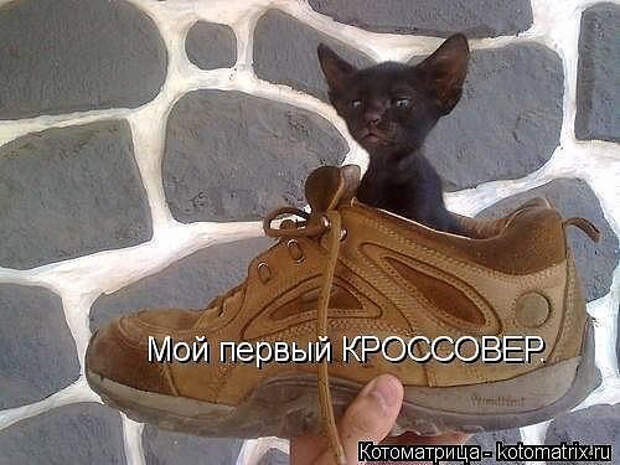 image (500x375, 151Kb)