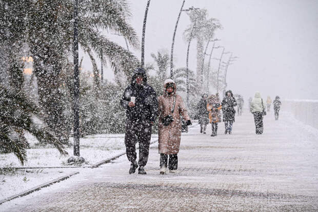 Мокрый снег ожидается в предгорьях и горах Сочи ночью и утром в четверг