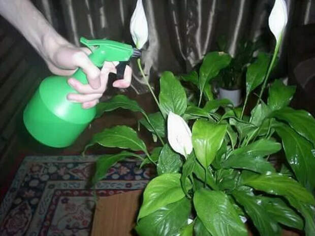 http://prolife.ru.com/wp-content/uploads/2018/12/2017-10-29_193324.SHTON_.jpg