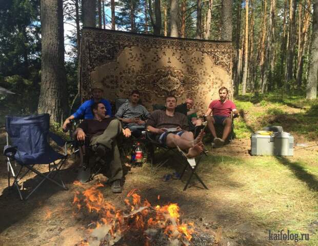 Приколы про ковры (45 фото)