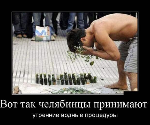 Демотиваторы бревно, демотиваторы, юмор