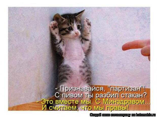 Котоматрицы(картинки с надписями)