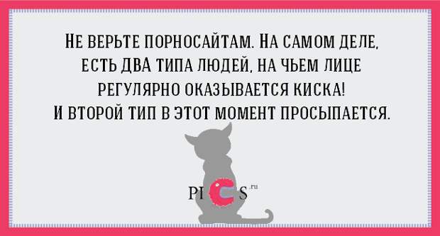 catowner10