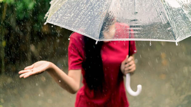 В Москве и области 17 августа ожидается пасмурный день с дождями