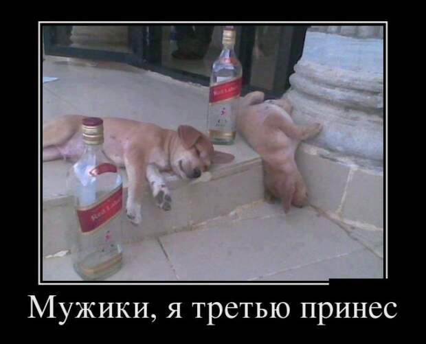 Демотиваторы №1040 (30 фото) Демотиваторы №1040 (30 фото)