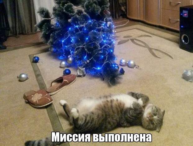 Праздник - это состояние души. Смейтесь на здоровье!