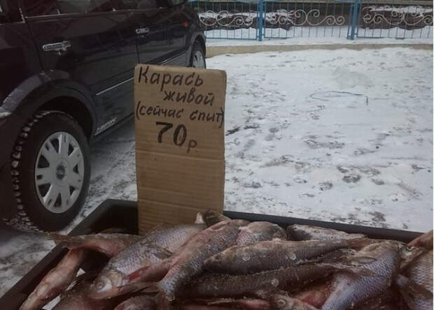 самые оригинальные объявления на рынке