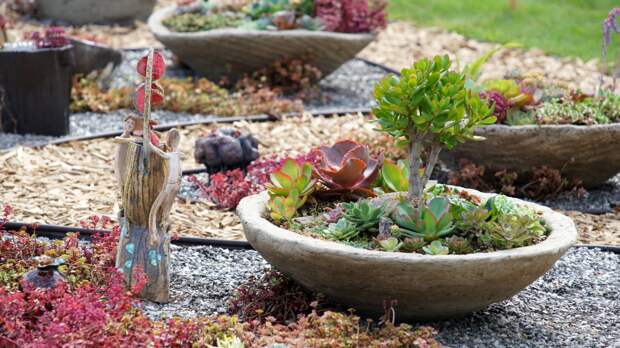 В «Царицыно» пройдет фестиваль исторических садов