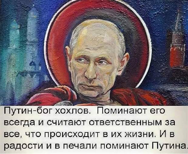 В вечном поиске хозяина