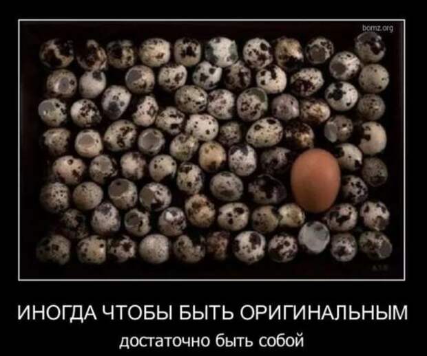Прикольные демотиваторы с надписями. Подборка chert-poberi-dem-chert-poberi-dem-56520724102020-6 картинка chert-poberi-dem-56520724102020-6