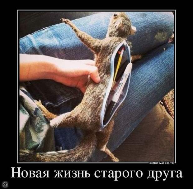 Не доверяй никому! 21