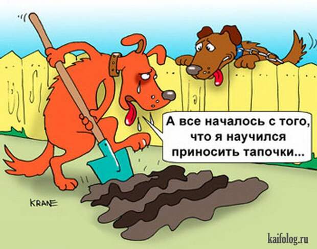 Смешные карикатуры и картинки (55 штук)