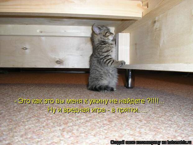 Котоматрица: - Это как это вы меня к ужину не найдете ?!!!!... Ну и вредная игра - в прятки.....