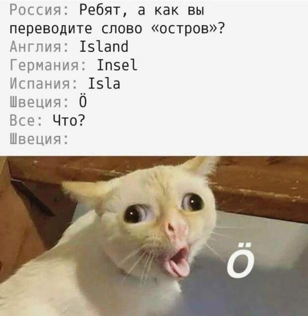 Маленькая пятница уже здесь! Заряжаемся позитивом с лучшими приколами!