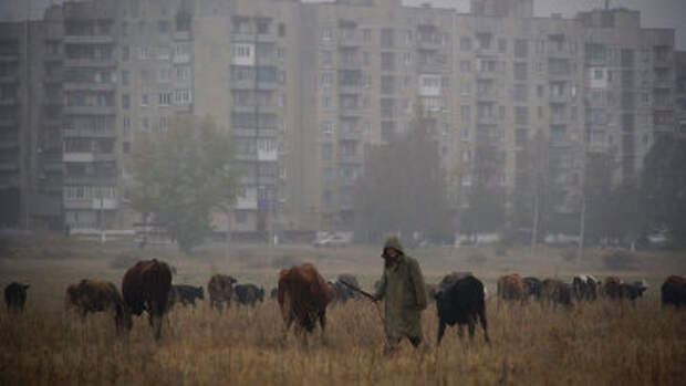 Ситуация в Донбассе. Архивное фото Ситуация в Донбассе. Архивное фото