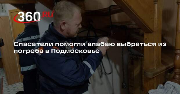 Спасатели помогли алабаю выбраться из погреба в Подмосковье