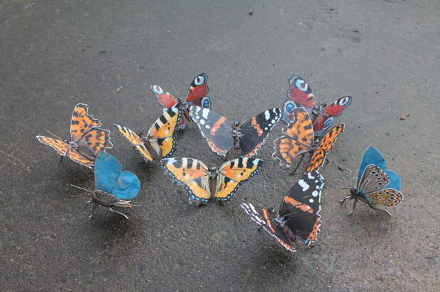 Бабочки металлолом, природа, скульптура