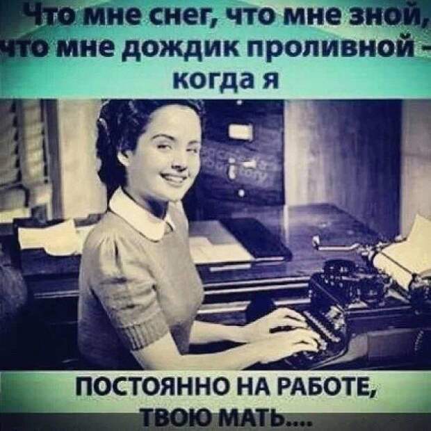 Прикольные картинки (98 фото)