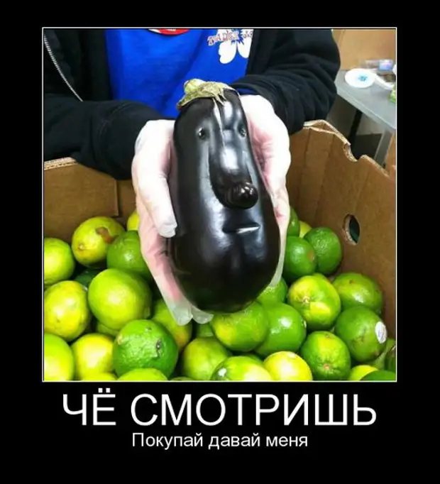 Смешные и умные демотиваторы. 518 ( 30 фото )