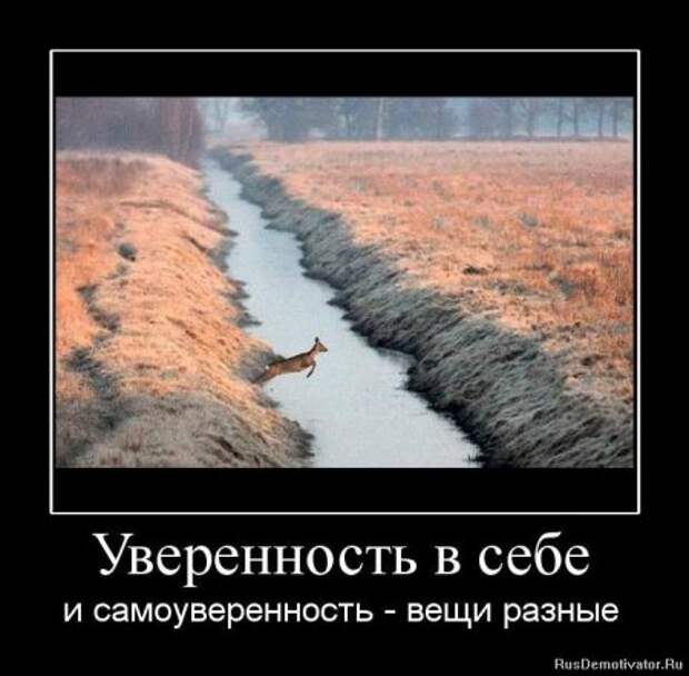 Деотиваторы о чувствах со смыслом.