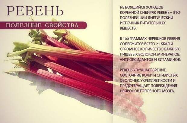 9 самых полезных продуктов для всего организма
