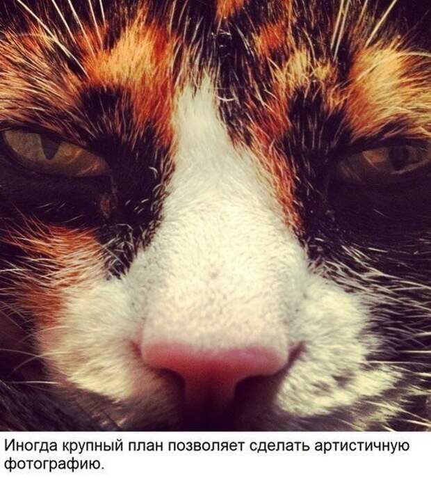 Уроки выполнения себяшек селфи, урок