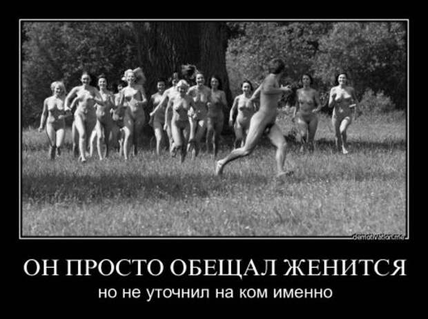 Демотиваторы приколы новые.