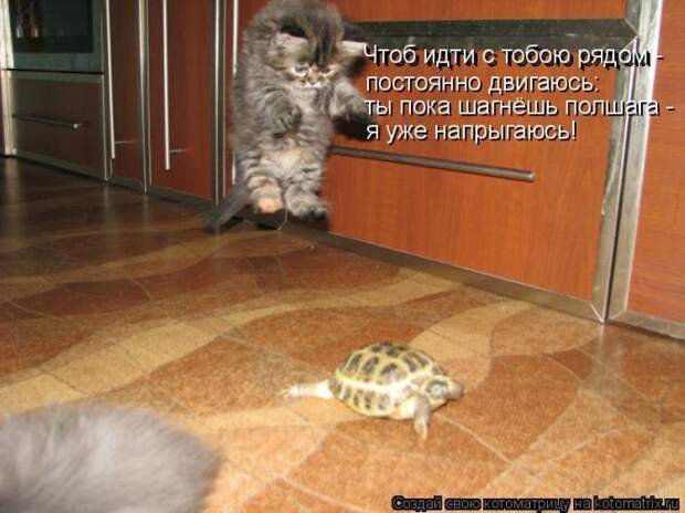 Мысли вслух :)
