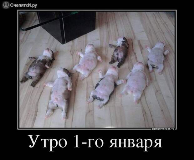 Демотиваторы о разном 1