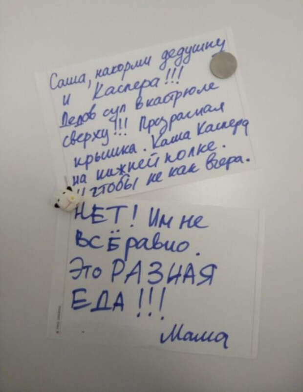 Круто, когда домашние с юмором Круто, когда домашние с юмором