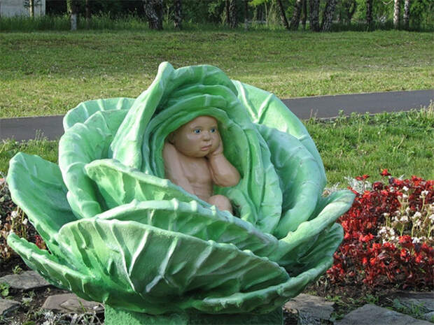 Младенец в капусте, фото с сайта vorotila.ru