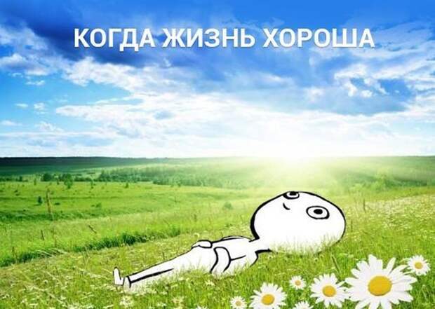 Смешные картинки с подписями катинки, прикол, юмор