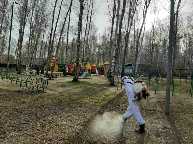 В Челябинске парки обрабатывают от клещей. Где уже можно гулять