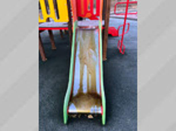 Фото: глава Славгорода Людмила Подгора