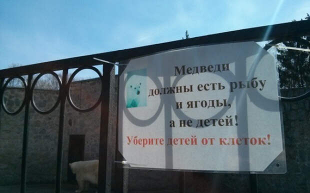 Незабываемые объявления и надписи