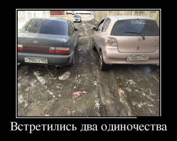 Демотиваторы №1105 (30 фото)