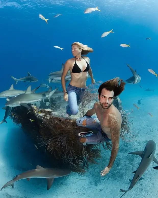 Андре Масгроув (André Musgrove) и его невероятные подводные снимки