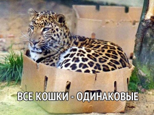 В эфире - свежие фото-приколы (40 шт)