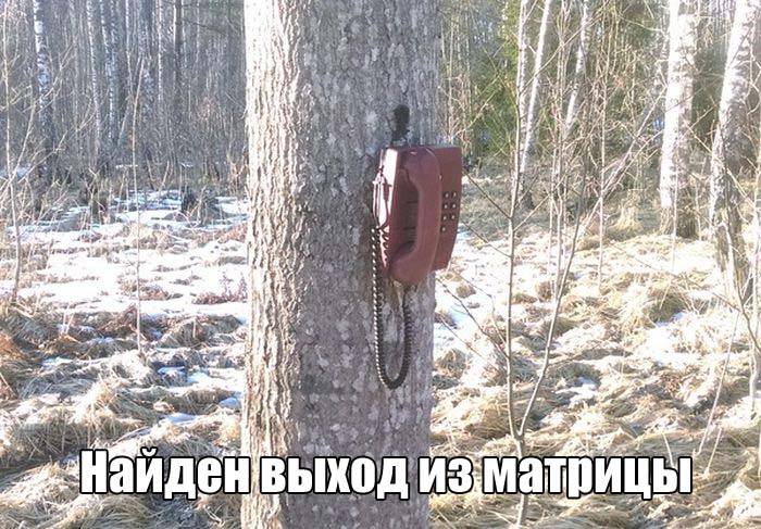 Забавные картинки с надписями для настроения (11 фото) Забавные картинки с надписями для настроения (11 фото)