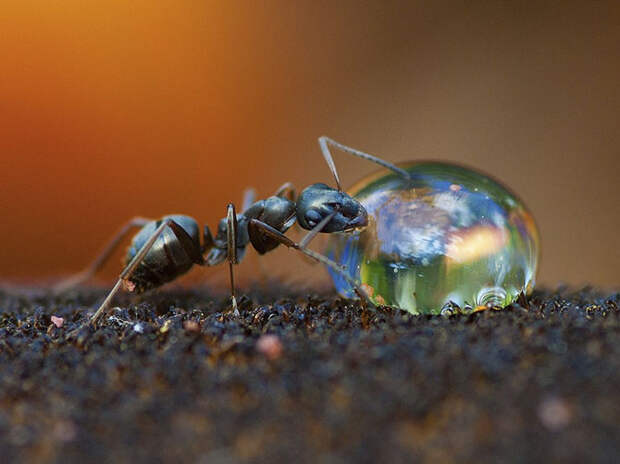 Лучшие фотографии National Geographic ноября 2014